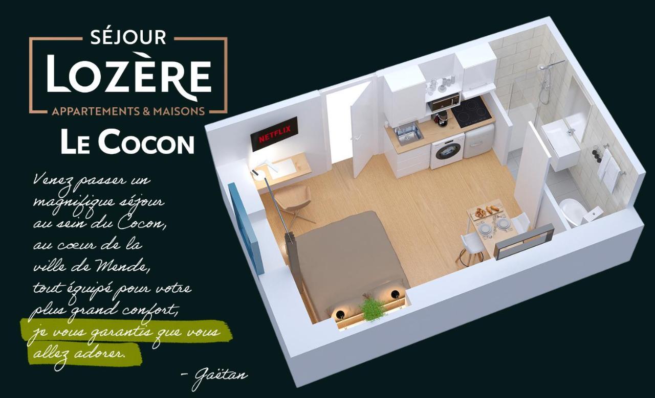 Le Cocon - Netflix/Wifi Fibre - Sejour Lozere Apartment Mende Ngoại thất bức ảnh